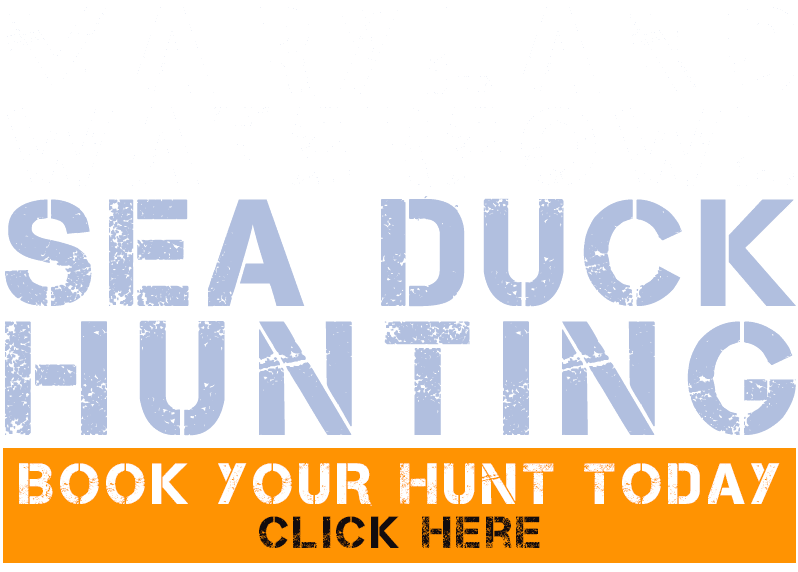 Book Your Hunt